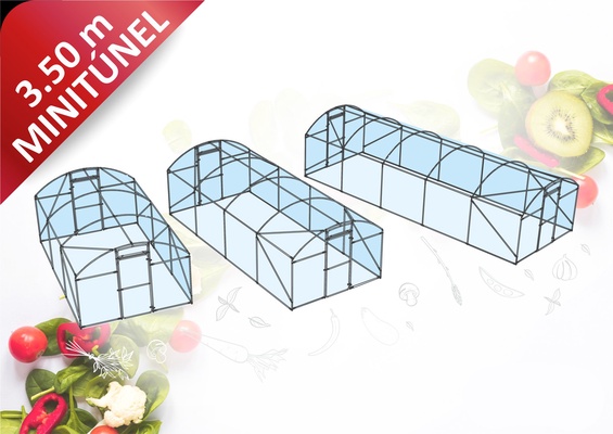 Invernadero Tunel Profesional 3,5 x 6 metros